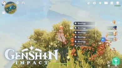 genshin-impact-bird-eggs