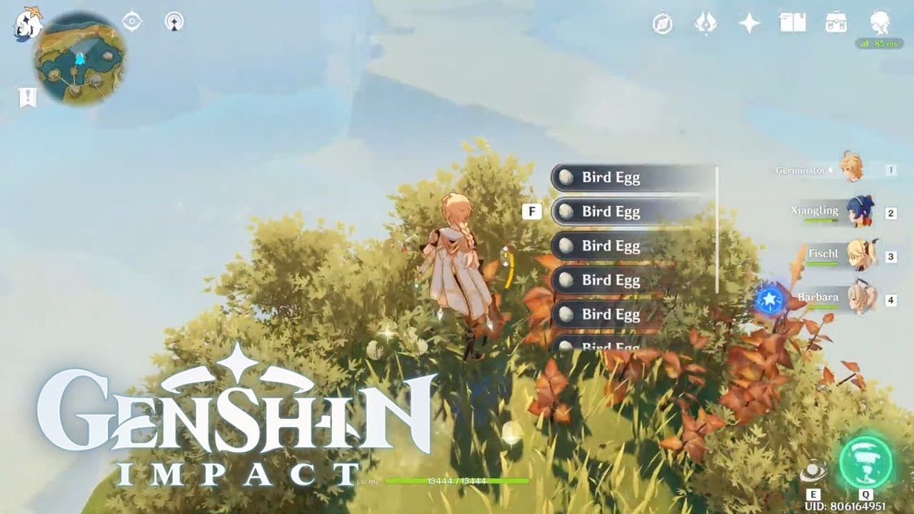 genshin-impact-bird-eggs