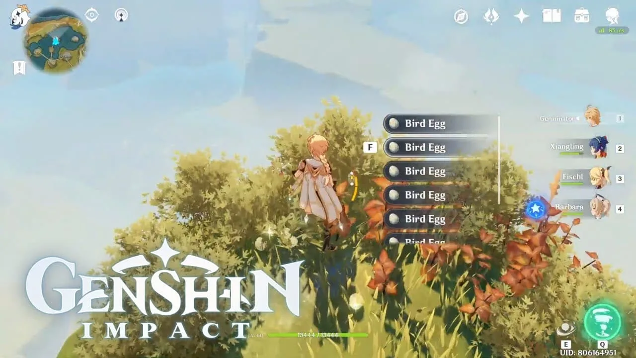 Where To Find Bird Eggs On Genshin Impact? genshin-impact-bird-eggs