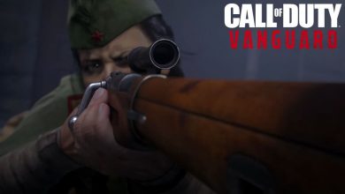 Best Vanguard Marksman Rifles 1