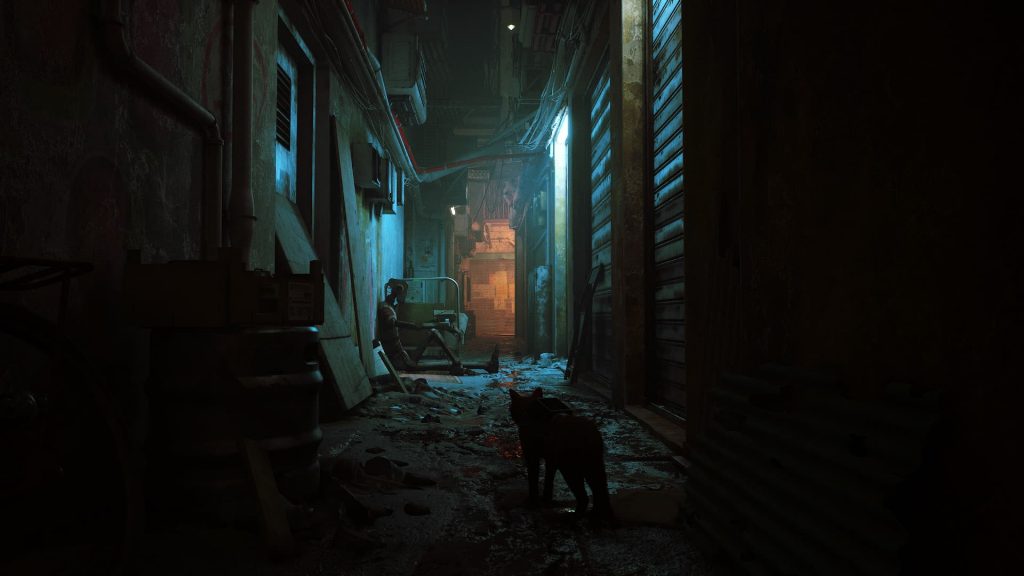 Stray Release Date and More 1 Stray Release Date and More lawod ss