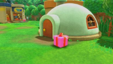 Kirby and the Forgotten Land Codes lawod ss 1
