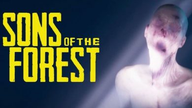 Sons of the Forest Delayed lawod 1