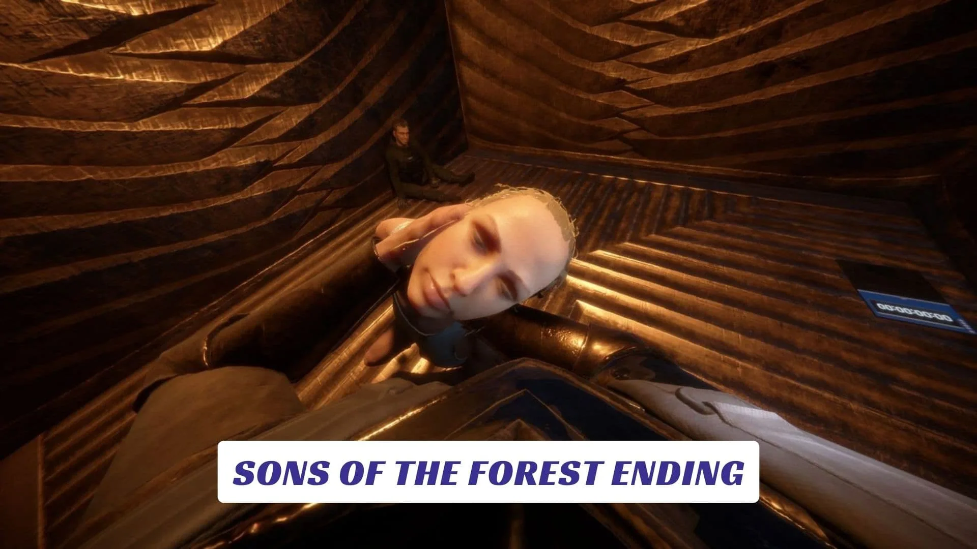 Sons of the Forest Ending Lawod Cover 1