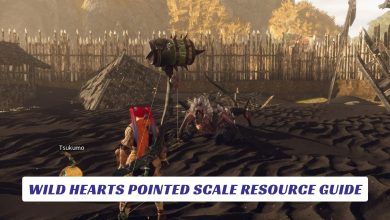 Wild Hearts Pointed Scale Resource Guide Lawod Cover
