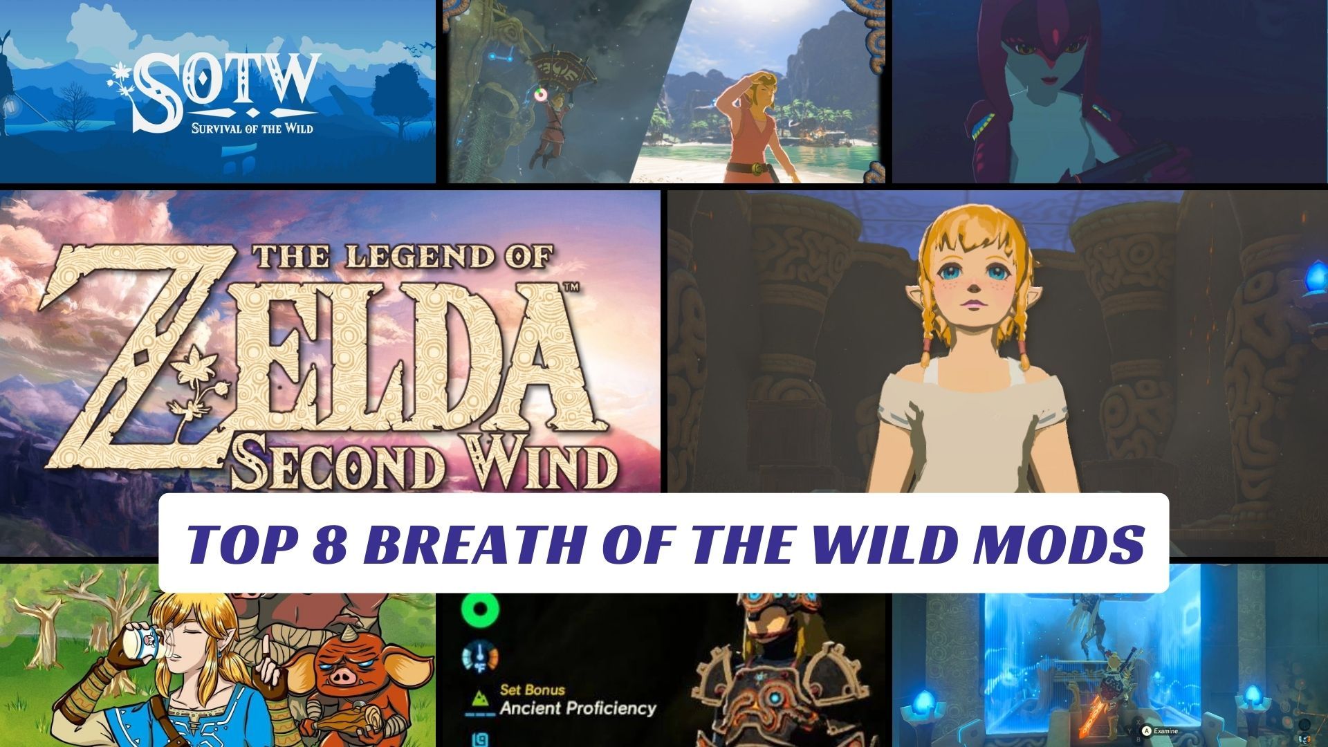 Top 8 Breath of the Wild Mods Lawod Cover