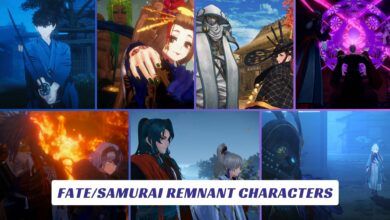 FateSamurai Remnant Characters Lawod Cover