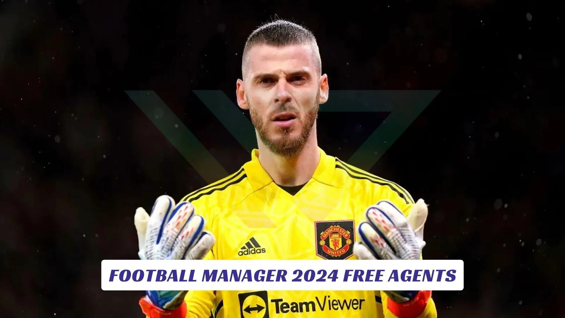 Football Manager 2024 Free Agents Football Manager 2024 Free Agents Lawod Cover