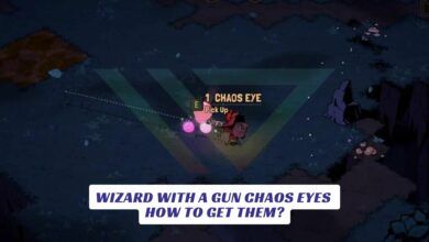 Wizard With a Gun Chaos Eyes How to Get Them Lawod Cover