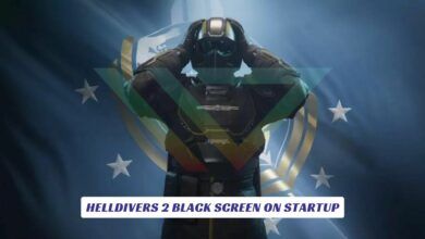 Helldivers 2 Black Screen on Startup Lawod Cover
