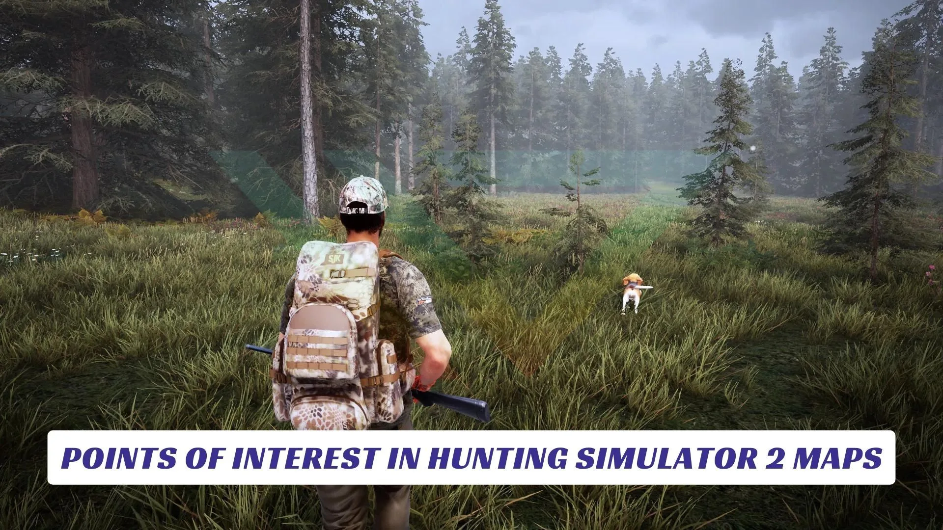 Points of Interest in Hunting Simulator 2 Maps Points of Interest in Hunting Simulator 2 Maps Lawod Cover