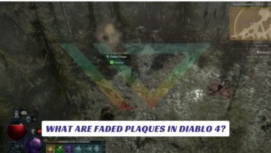 What Are Faded Plaques in Diablo 4
