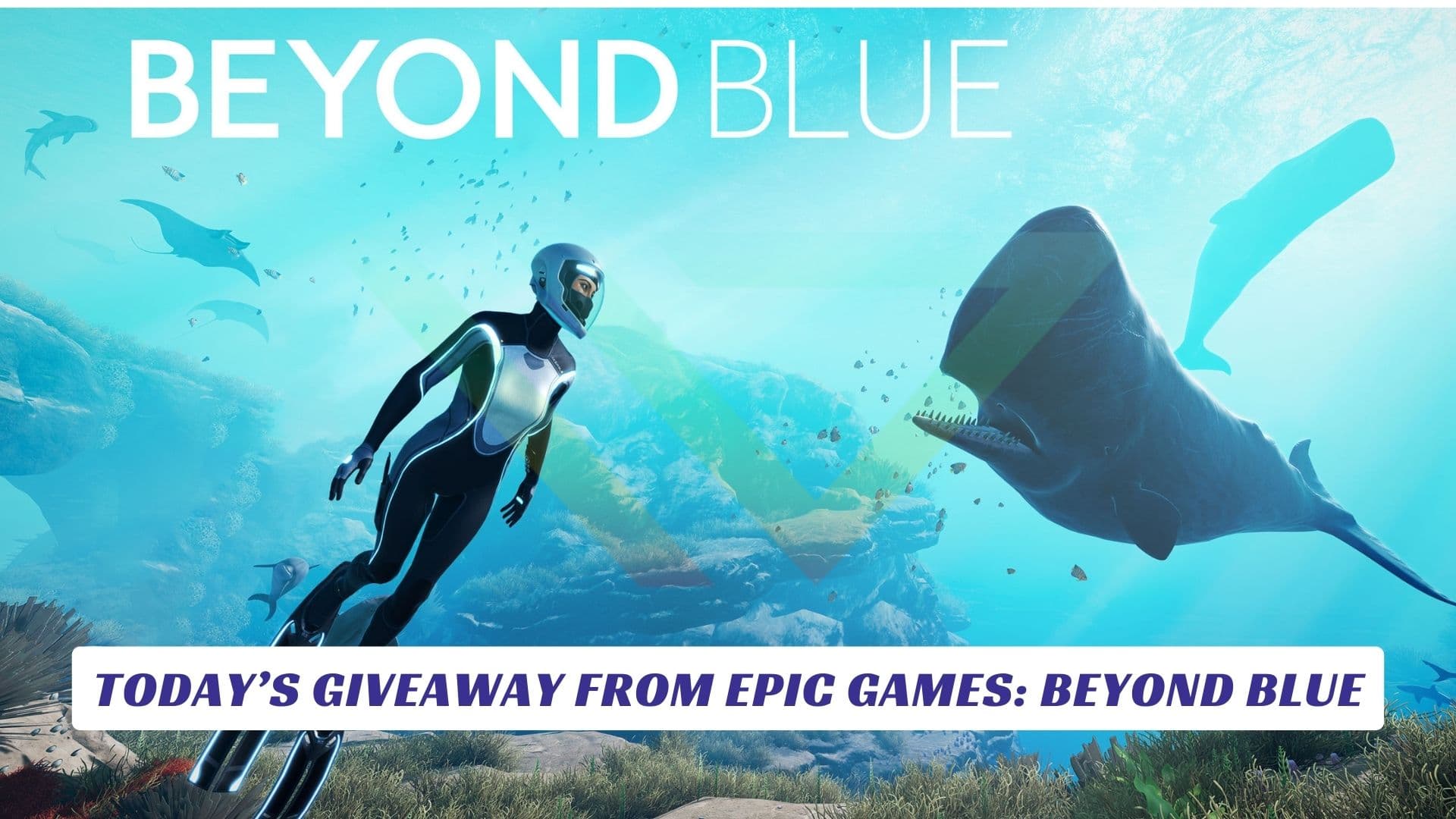 Today’s Giveaway From Epic Games Beyond Blue