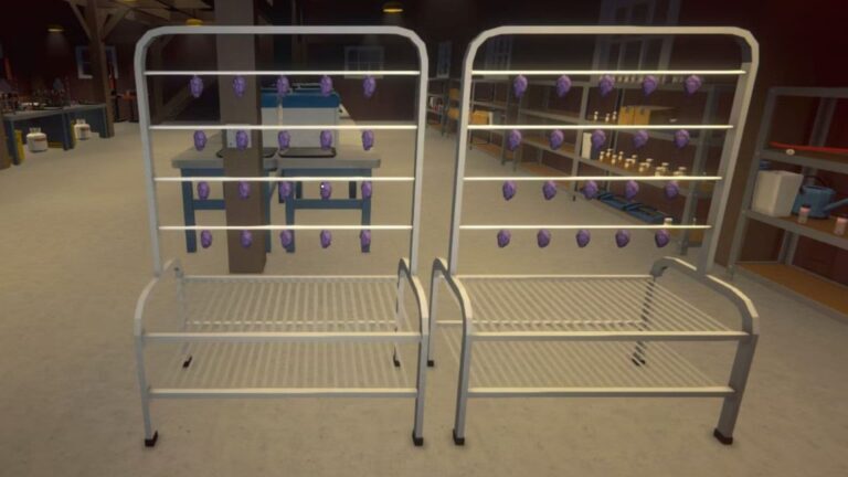 How To Use Drying Racks In Schedule 1? - Lawod