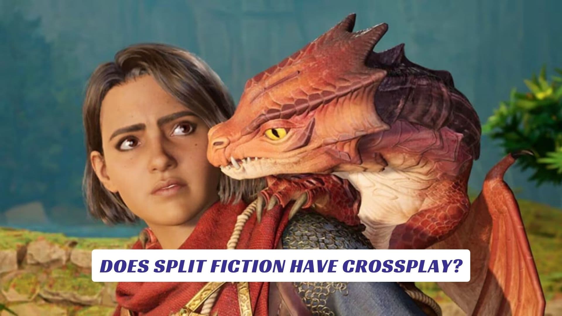 Does Split Fiction Have Crossplay