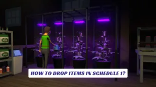 How to Drop Items in Schedule 1