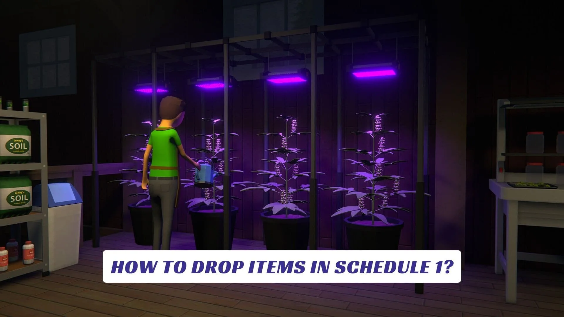 How to Drop Items in Schedule 1
