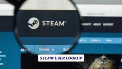Steam User Lookup