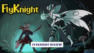 FlyKnight Review