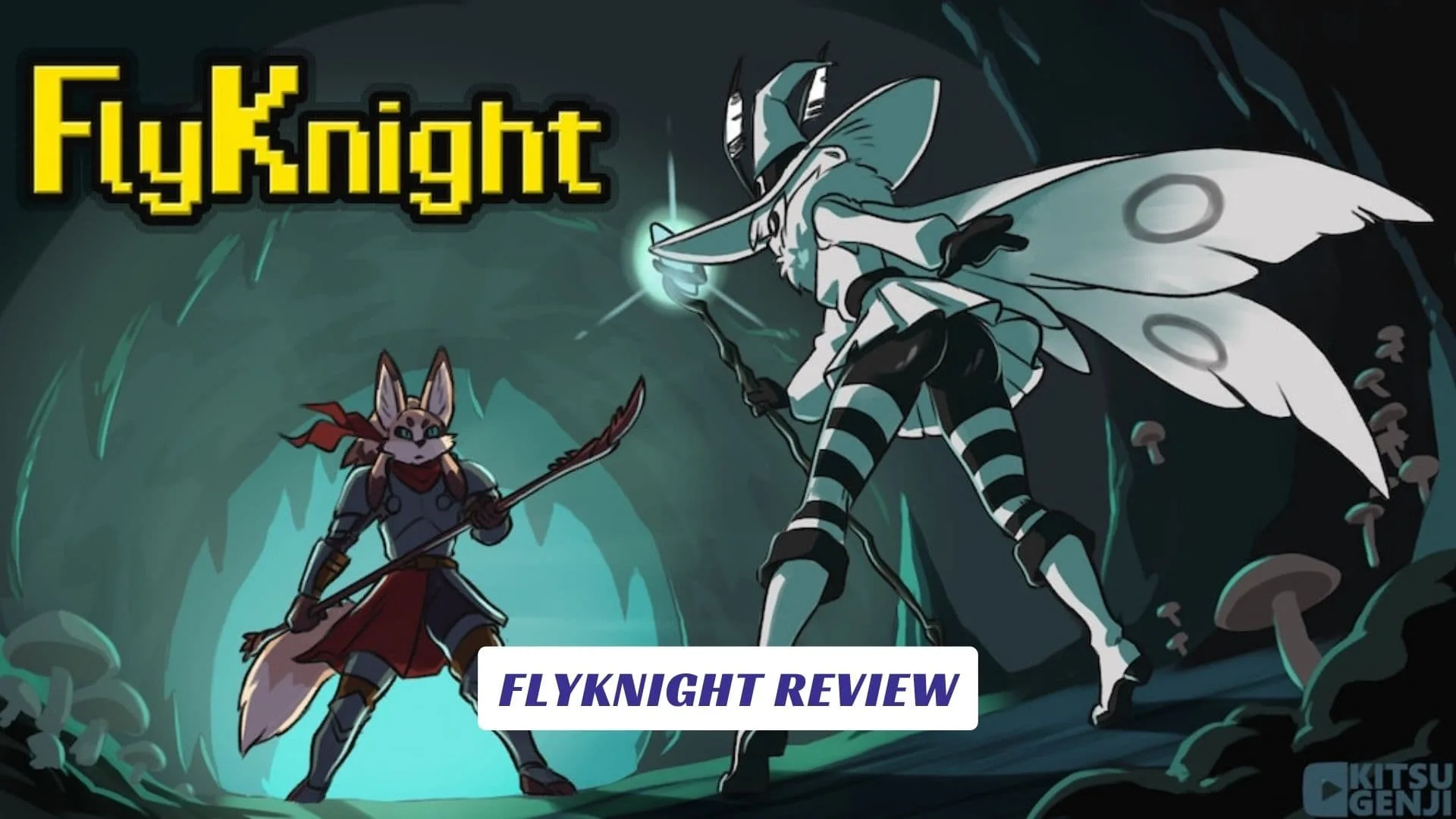 FlyKnight Review FlyKnight Review
