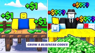 Grow A Business Codes
