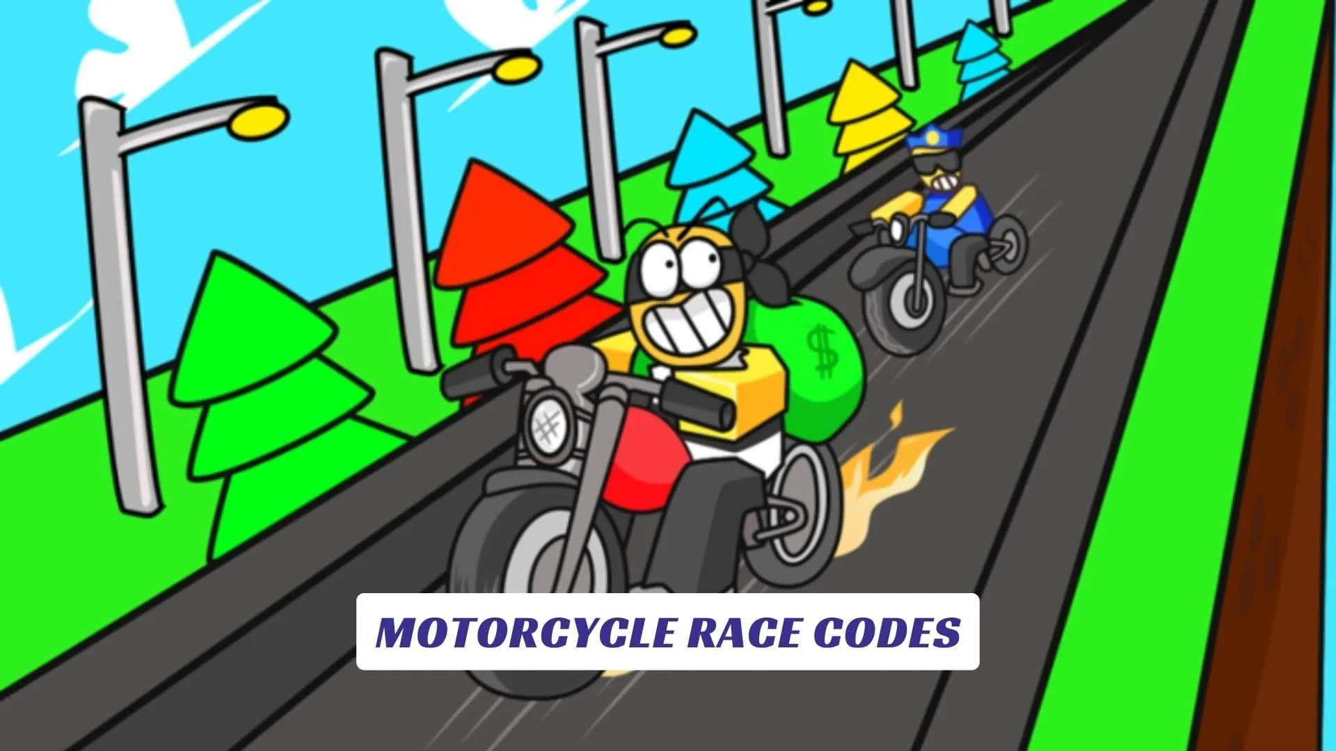Motorcycle Race Codes