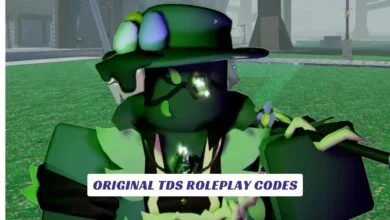 Original TDS Roleplay Codes