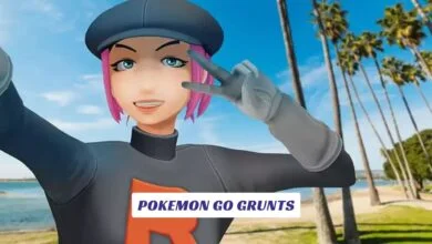 Pokemon Go Grunts