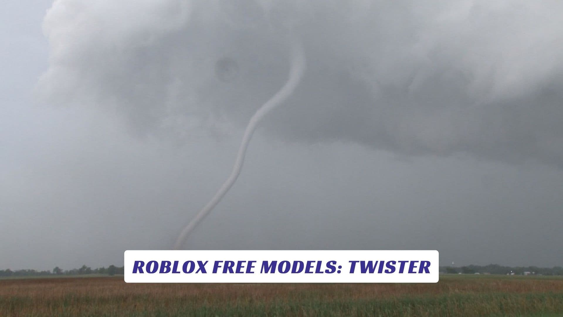 Roblox Free Models Twister