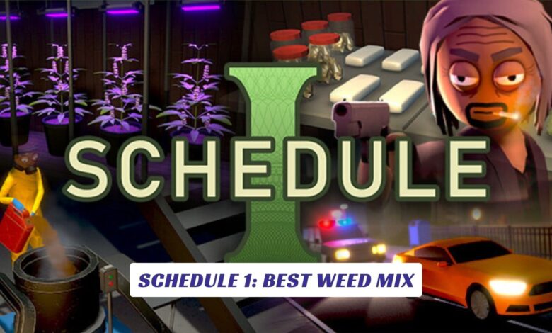 Schedule 1: Best Weed Mix Schedule 1 Best Weed Mix