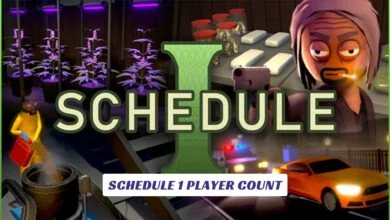 Schedule 1 Player Count