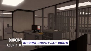 Dupoint County Jail Codes