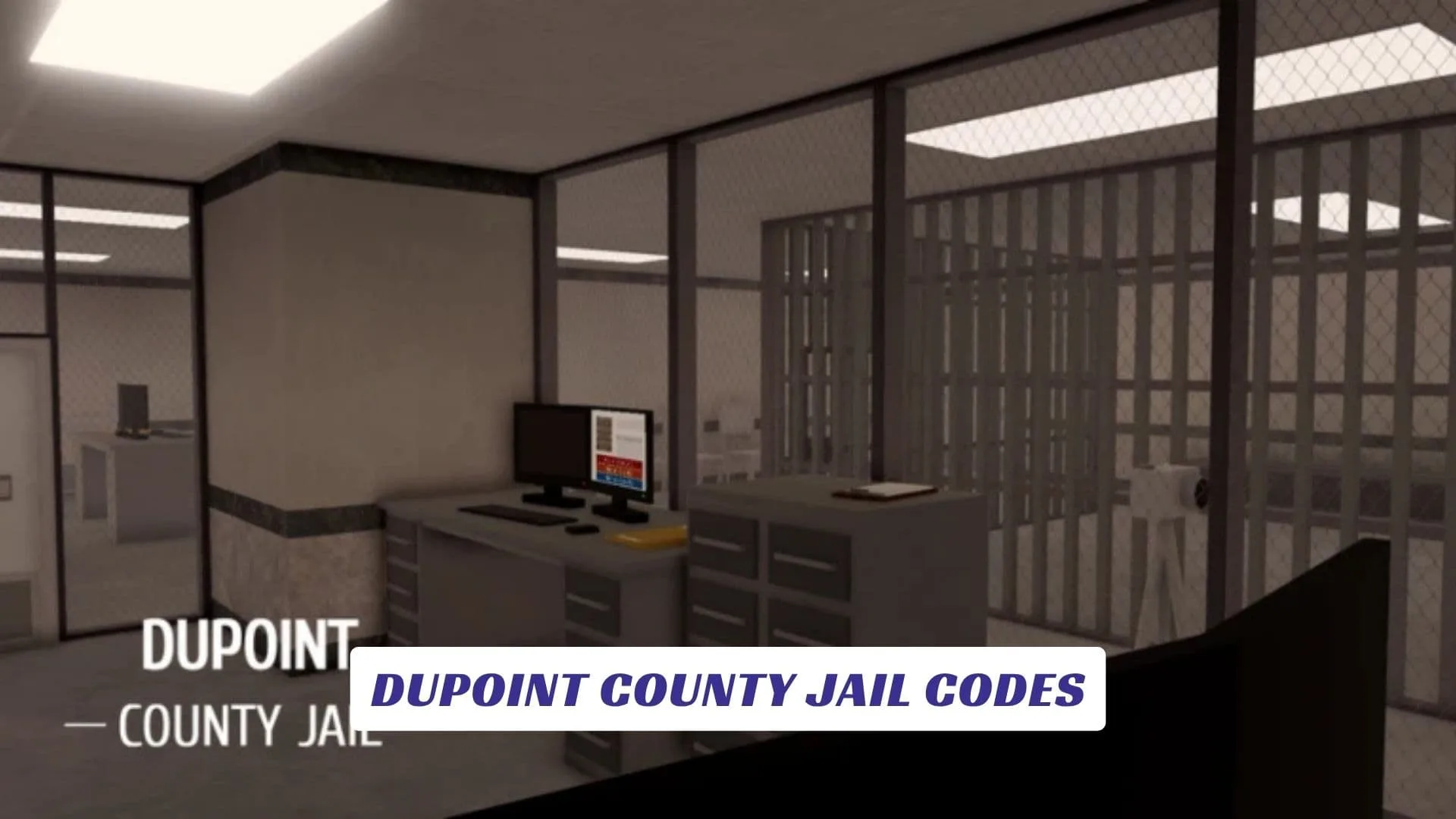 Dupoint County Jail Codes Dupoint County Jail Codes