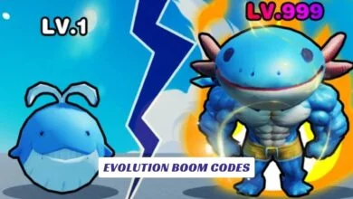 Evolution Boom Codes