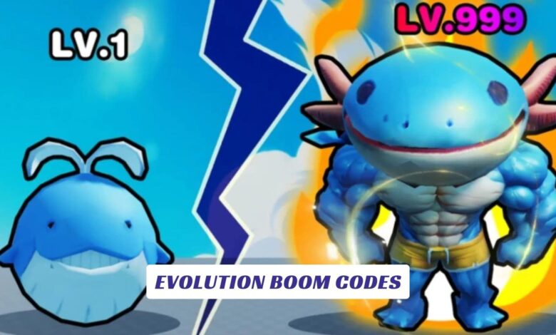 Evolution Boom Codes Evolution Boom Codes