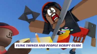 Fling Things and People Script Guide 2