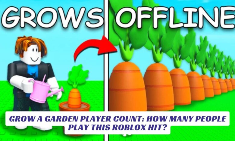 Grow a Garden Player Count: How Many People Play This Roblox Hit? Grow a Garden Player Count How Many People Play This Roblox Hit