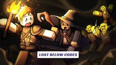 Lost Below Codes