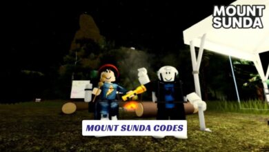 MOUNT SUNDA Codes