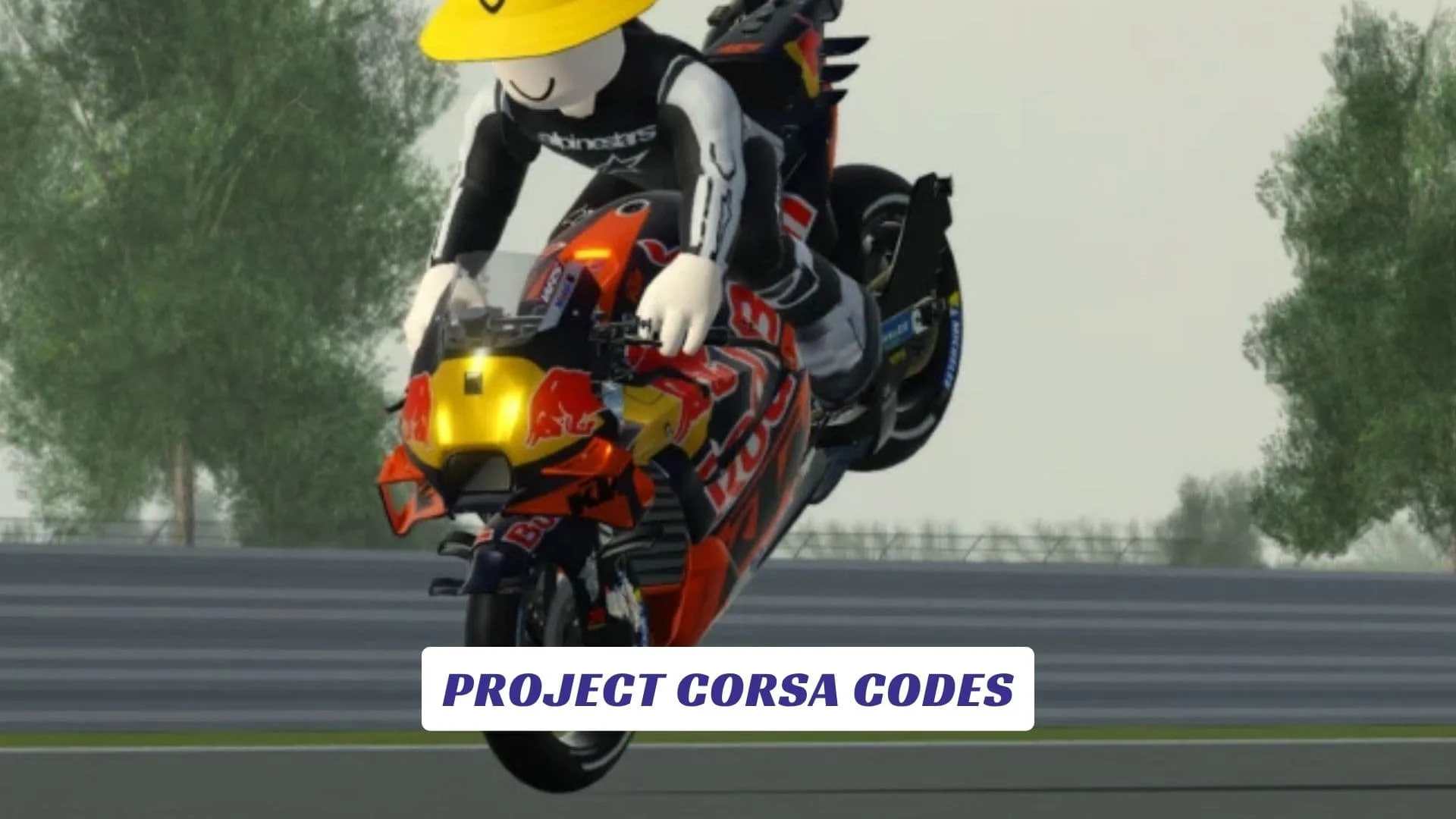 Project Corsa Codes