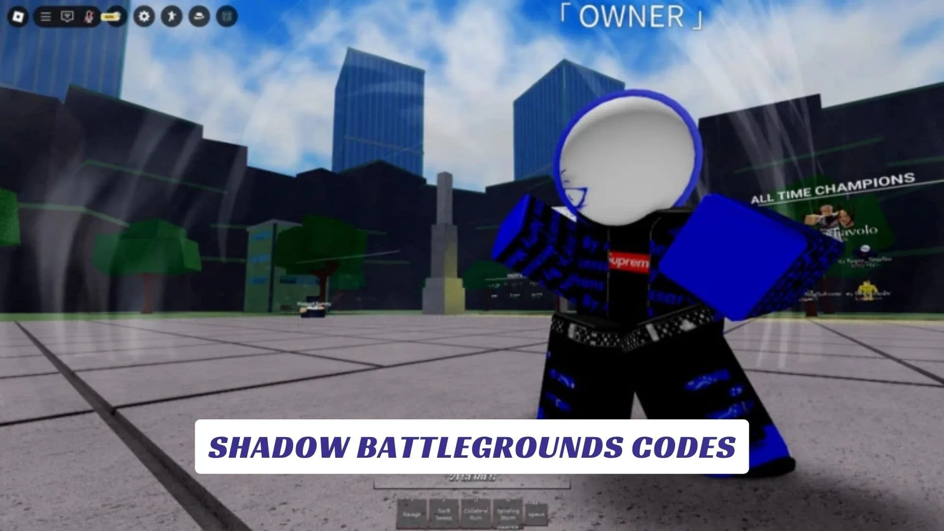 Shadow Battlegrounds Codes