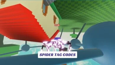 Spider Tag Codes