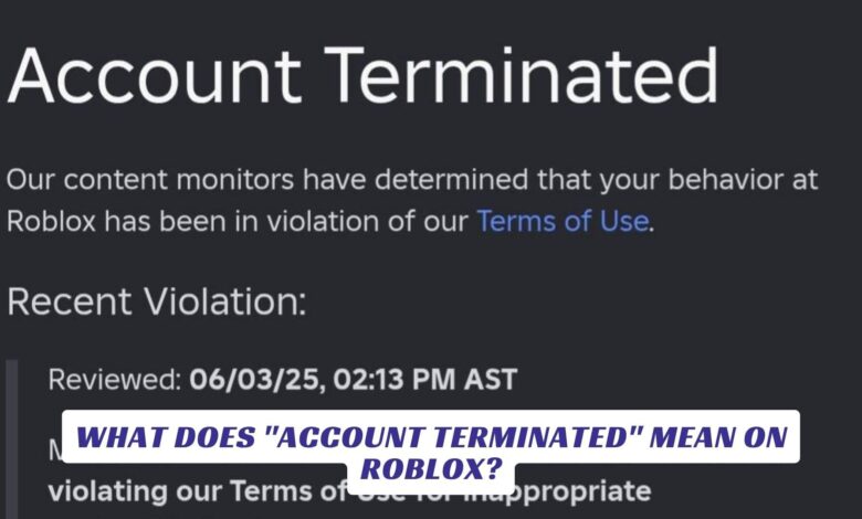 What Does "Account Terminated" Mean on Roblox? What Does Account Terminated Mean on Roblox