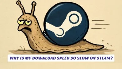Why Is My Download Speed So Slow on Steam
