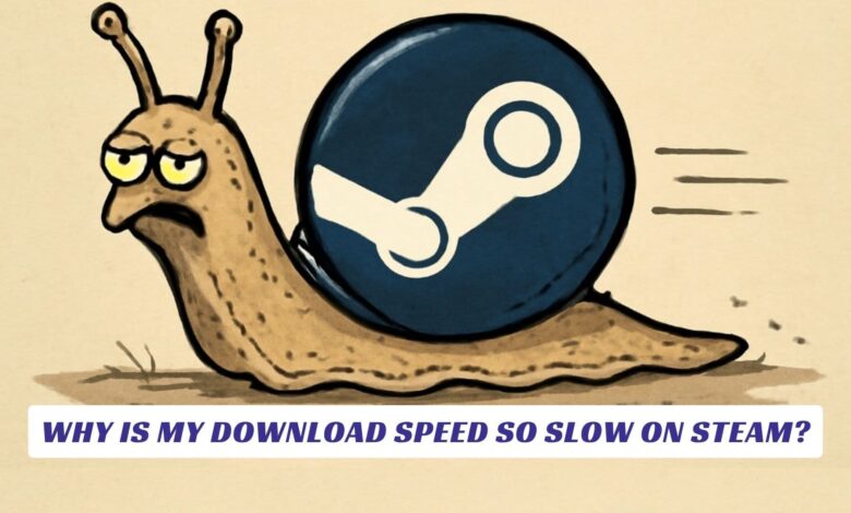 Why Is My Download Speed So Slow on Steam? Why Is My Download Speed So Slow on Steam