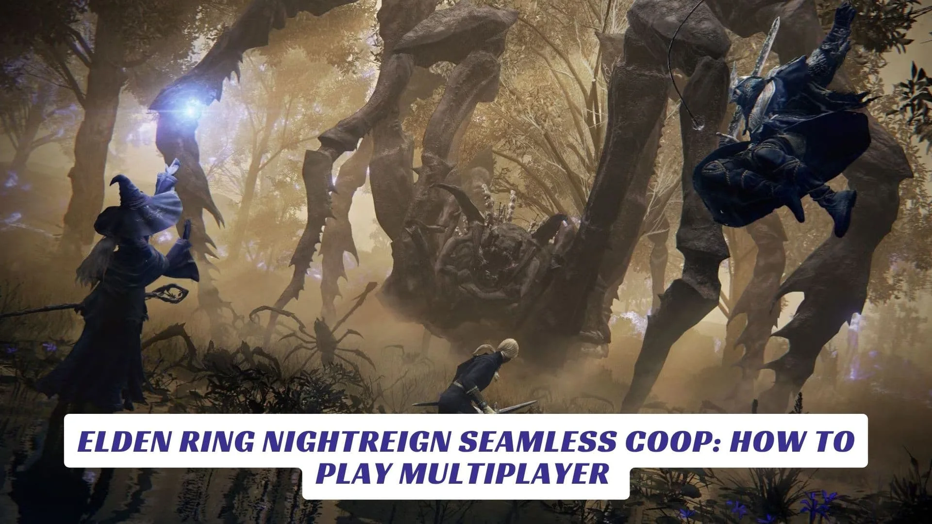 Elden RIng NIghtreIgn Seamless Coop How to Play Multiplayer