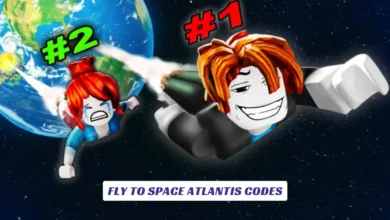 Fly to Space Atlantis Codes