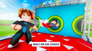 Hole or Die Codes
