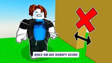 Hole or Die Script Guide