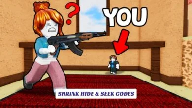 Shrink Hide & Seek Codes